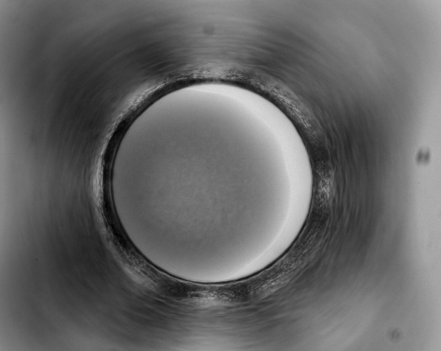 X0000103950678200810101439