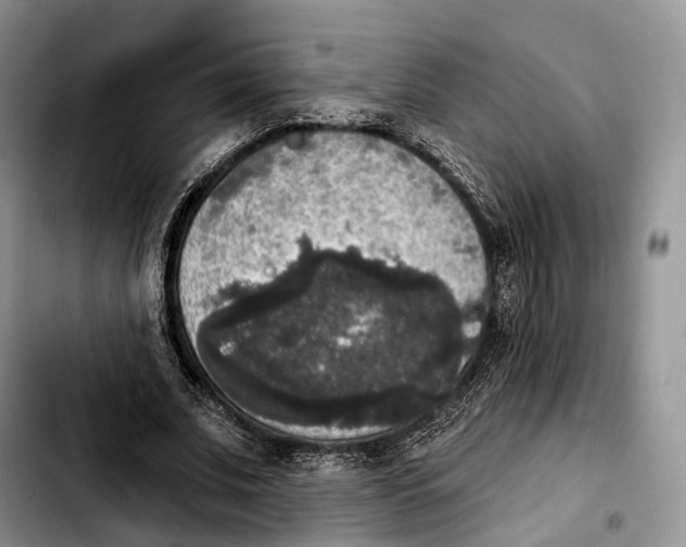 X0000103950679200810101439