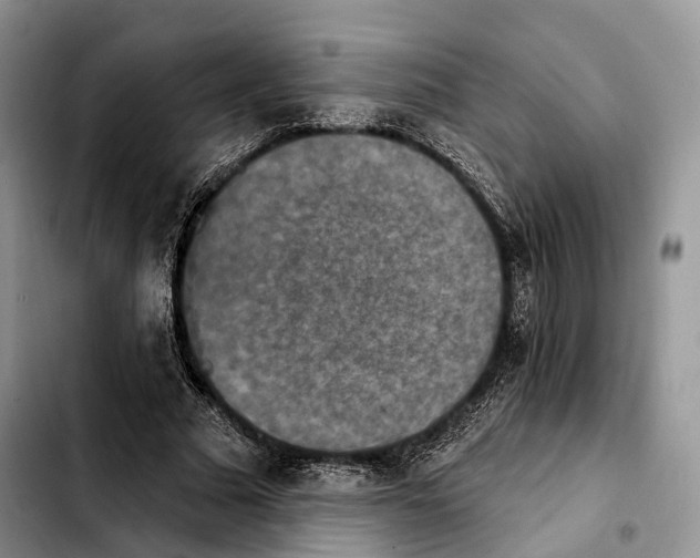 X0000103950681200810101439