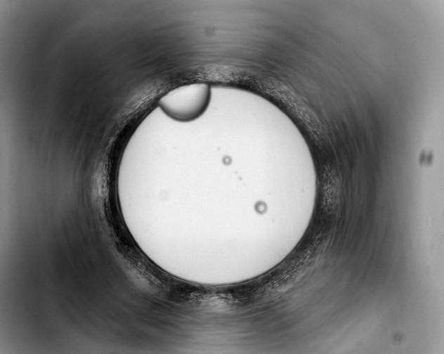 X0000103950683200810101439