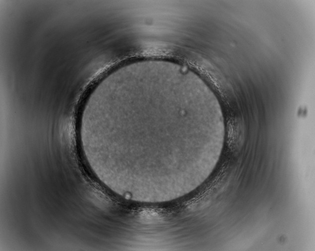 X0000103950684200810101439