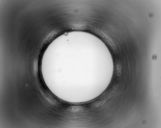 X0000103950686200810101439