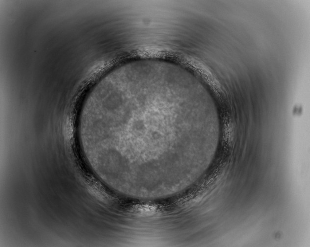 X0000103950687200810101439