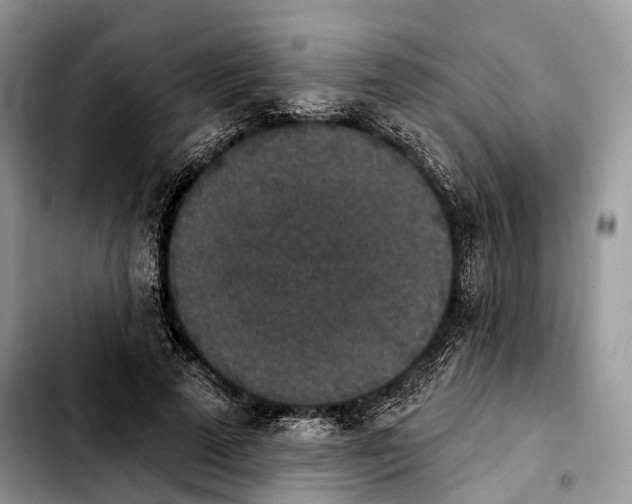 X0000103950689200810101439