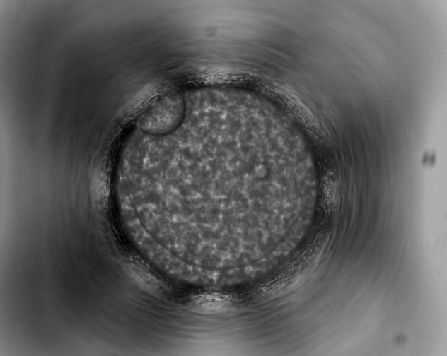 X0000103950691200810101439