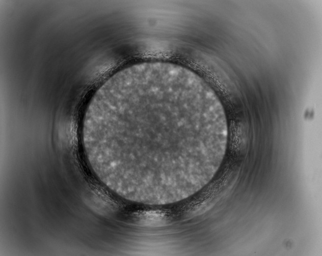 X0000103950692200810101439