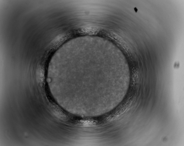 X0000103950693200810101439