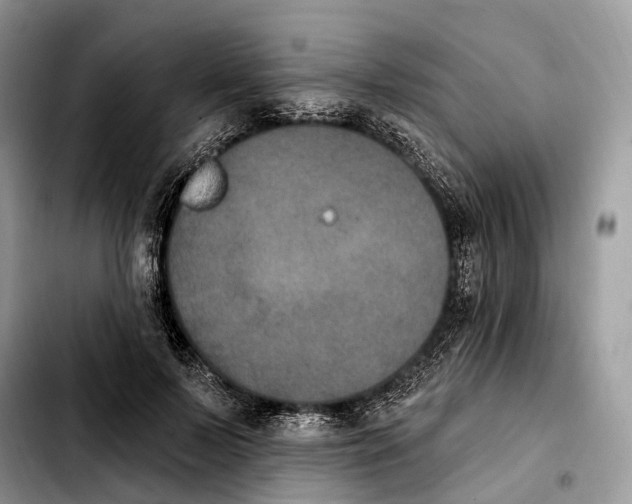 X0000103950695200810101439