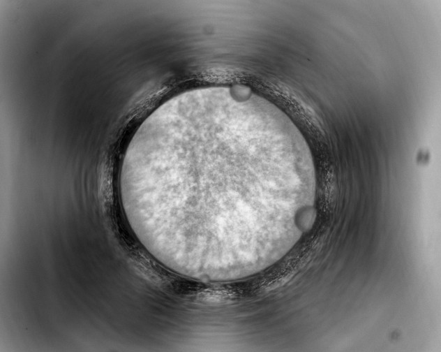 X0000103950696200810101439