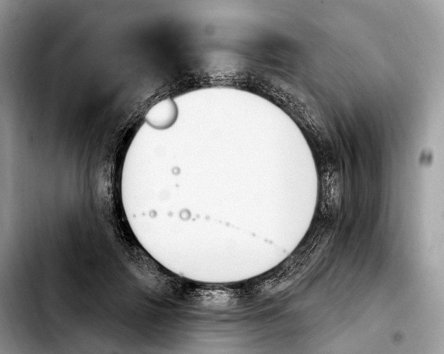 X0000103950698200810101438