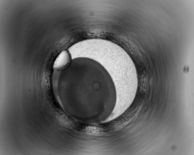 X0000103950699200810101438