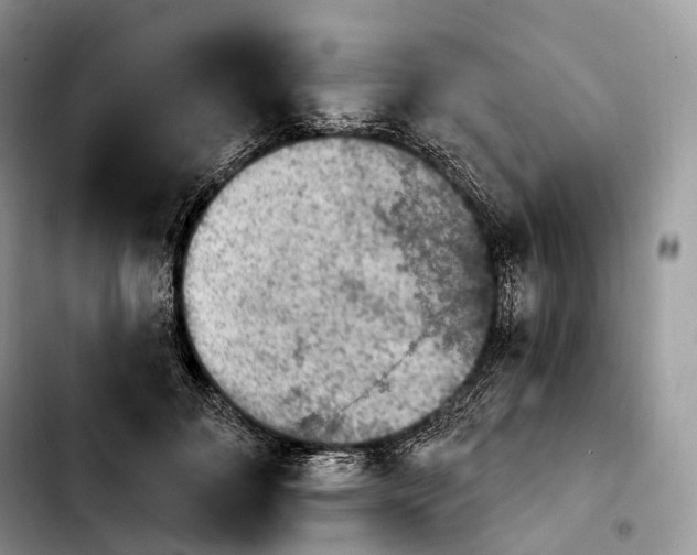 X0000103950700200810101438