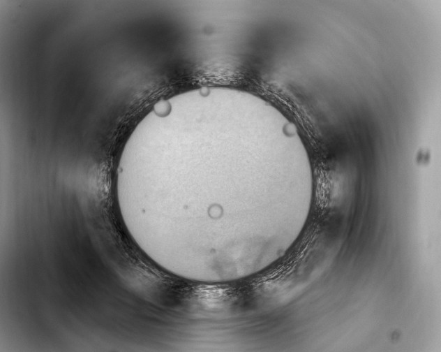 X0000103950701200810101438