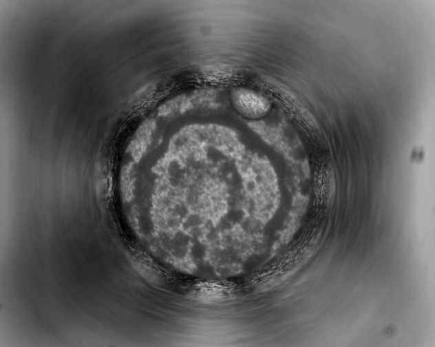 X0000103950703200810101438