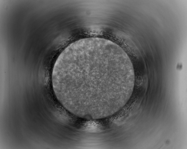 X0000103950704200810101438