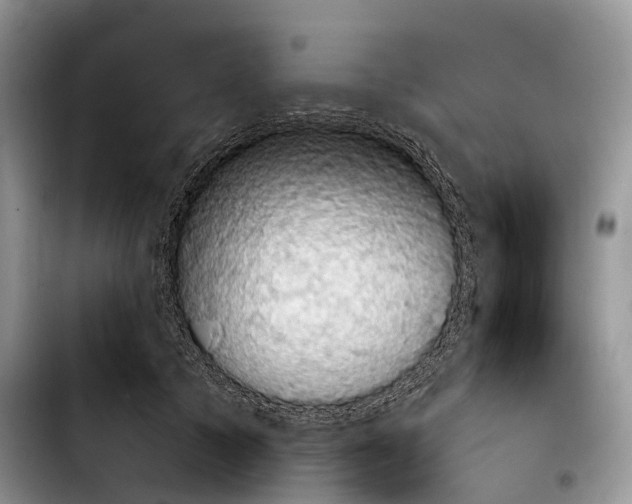 X0000103950705200810101438