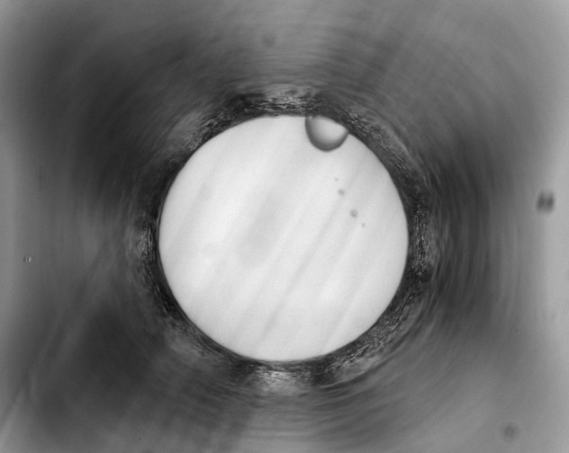 X0000103950706200810101438