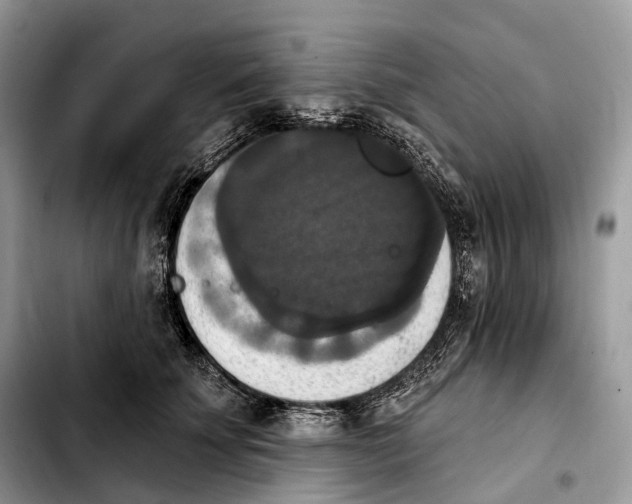 X0000103950707200810101438