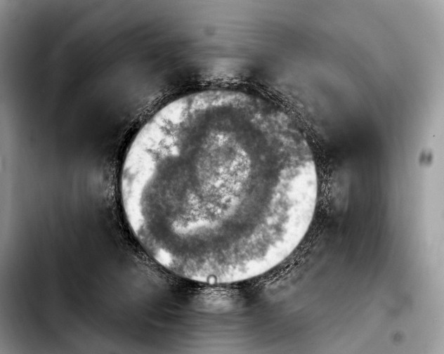 X0000103950708200810101438