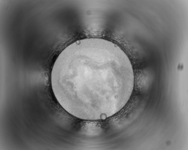 X0000103950709200810101438