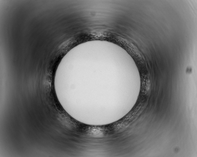 X0000103950710200810101438