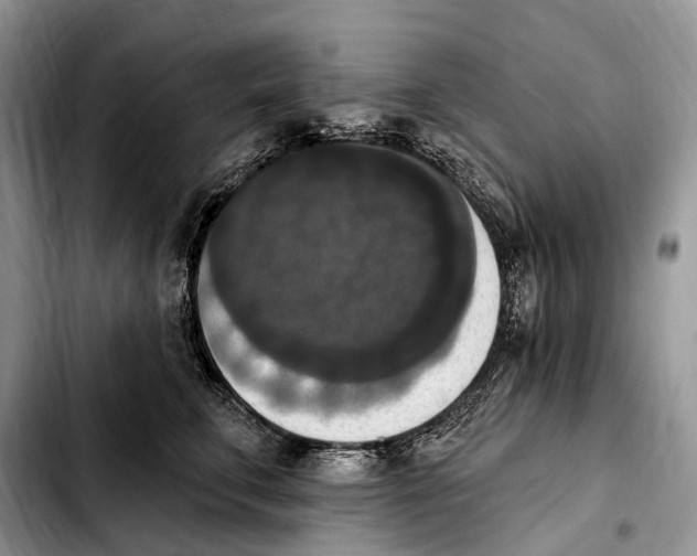 X0000103950711200810101438