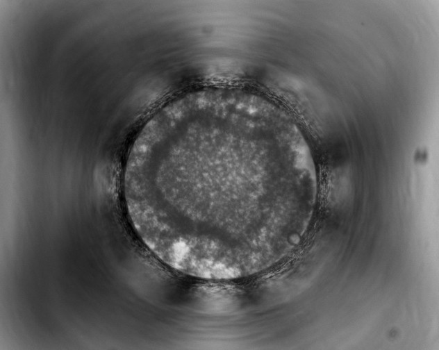 X0000103950712200810101438