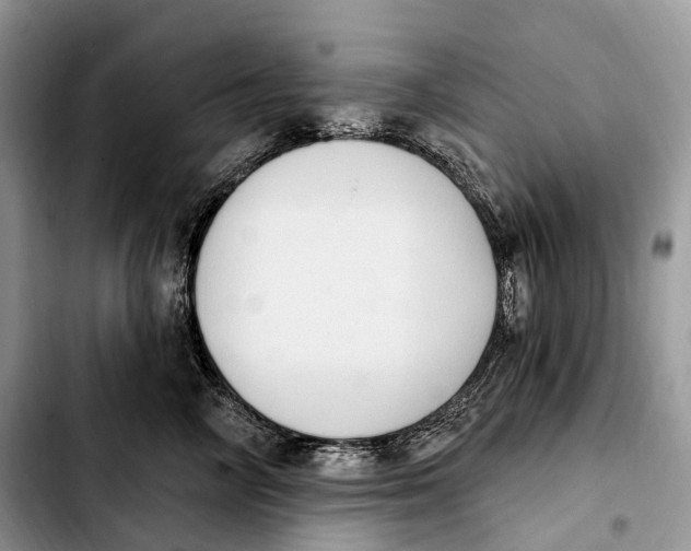 X0000103950714200810101438