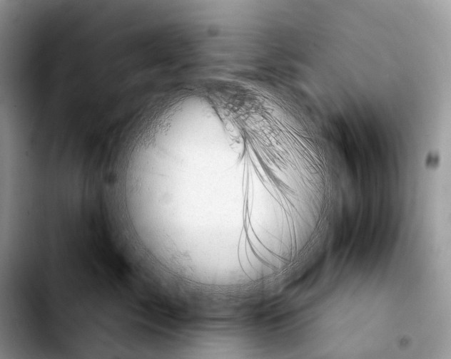 X0000103950717200810101438