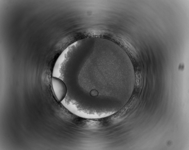 X0000103950718200810101438