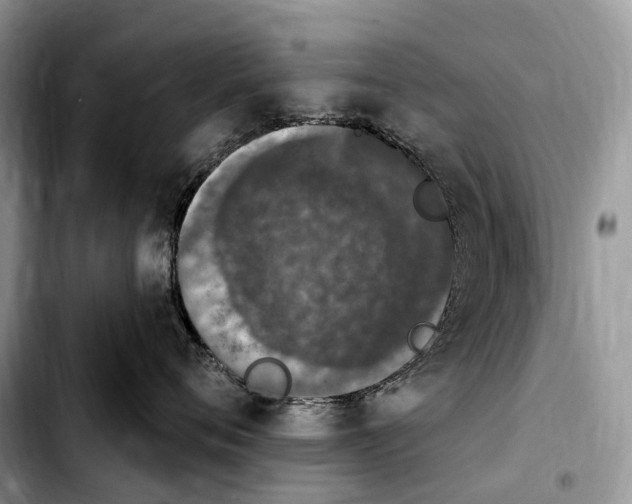 X0000103950720200810101438