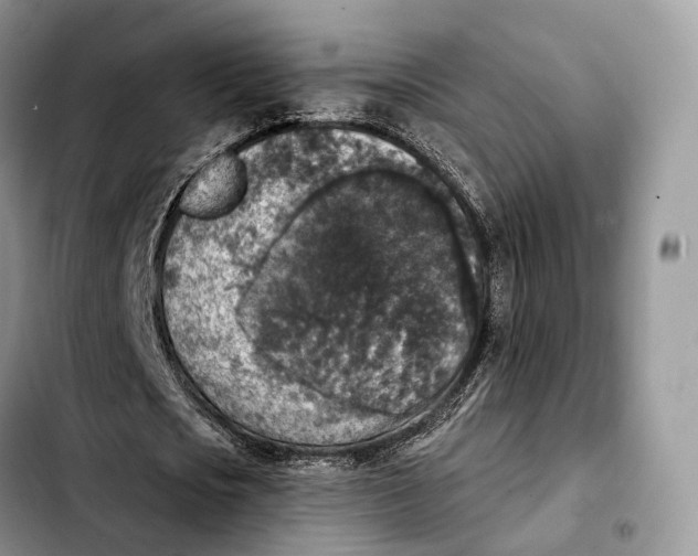 X0000103950721200810101437