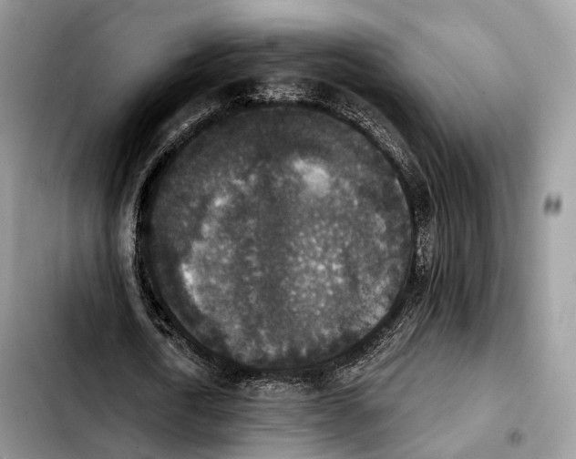 X0000103950722200810101438