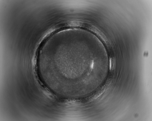 X0000103950723200810101438