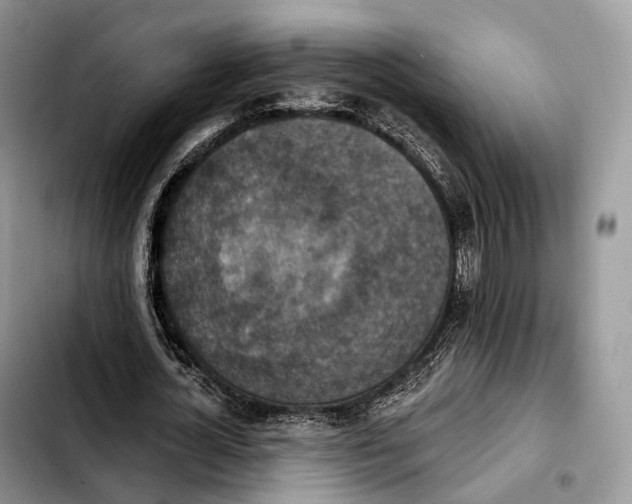 X0000103950724200810101438