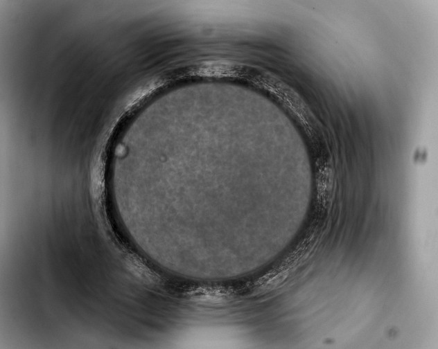 X0000103950727200810101438