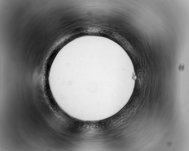 X0000103950728200810101438