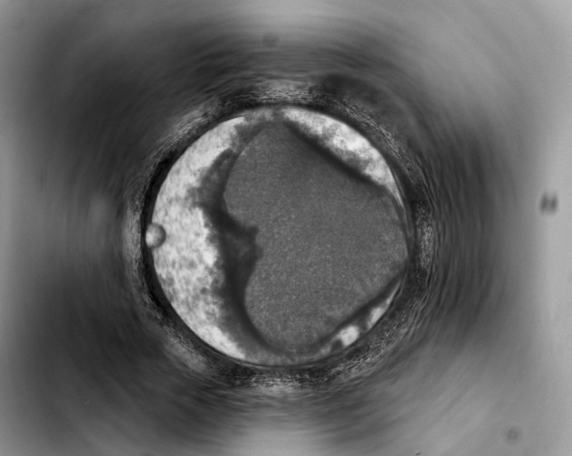 X0000103950729200810101438