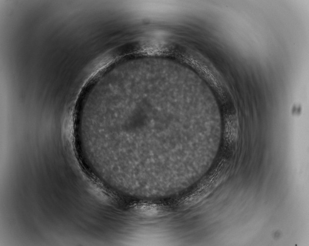 X0000103950730200810101438