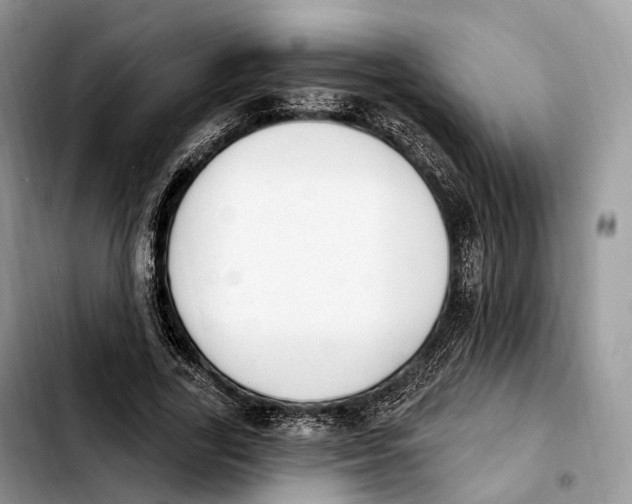 X0000103950731200810101438