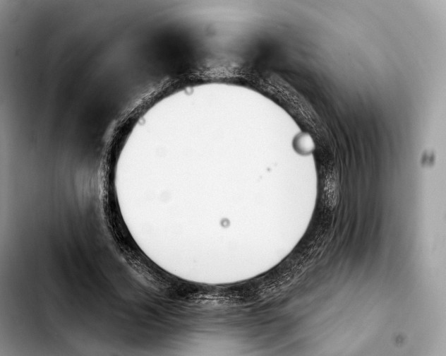 X0000103950732200810101438