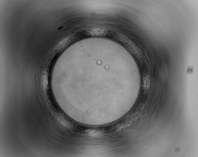 X0000103950733200810101438