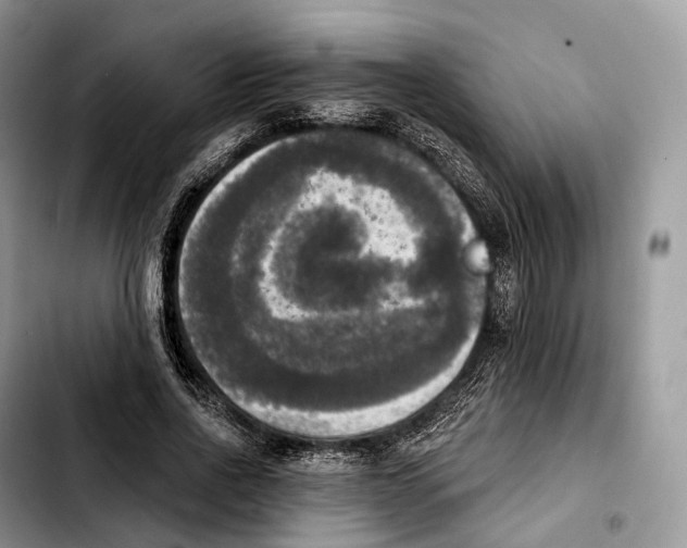 X0000103950734200810101438