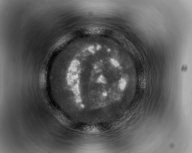 X0000103950735200810101438