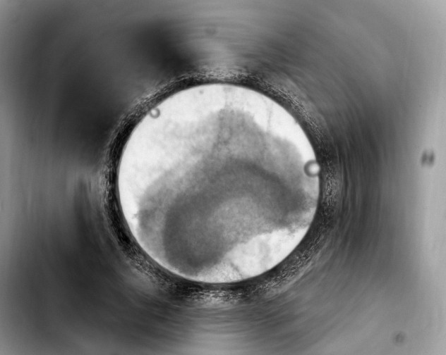 X0000103950736200810101438