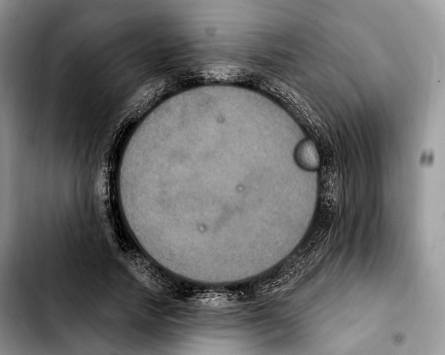 X0000103950738200810101438