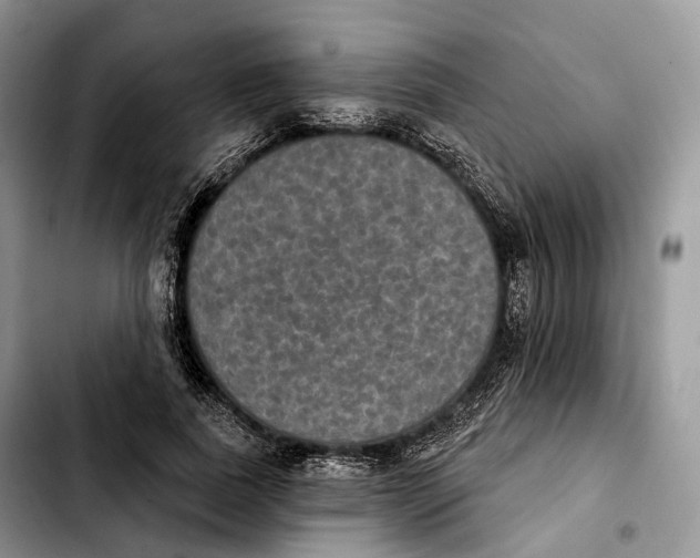 X0000103950739200810101438