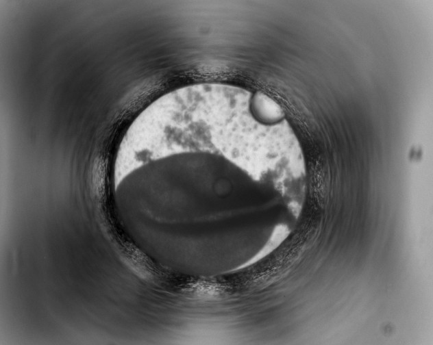 X0000103950742200810101438