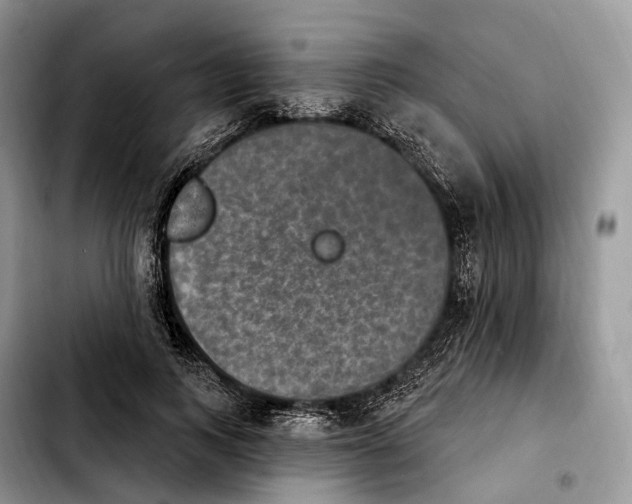 X0000103950743200810101438