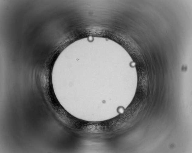 X0000103950744200810101438